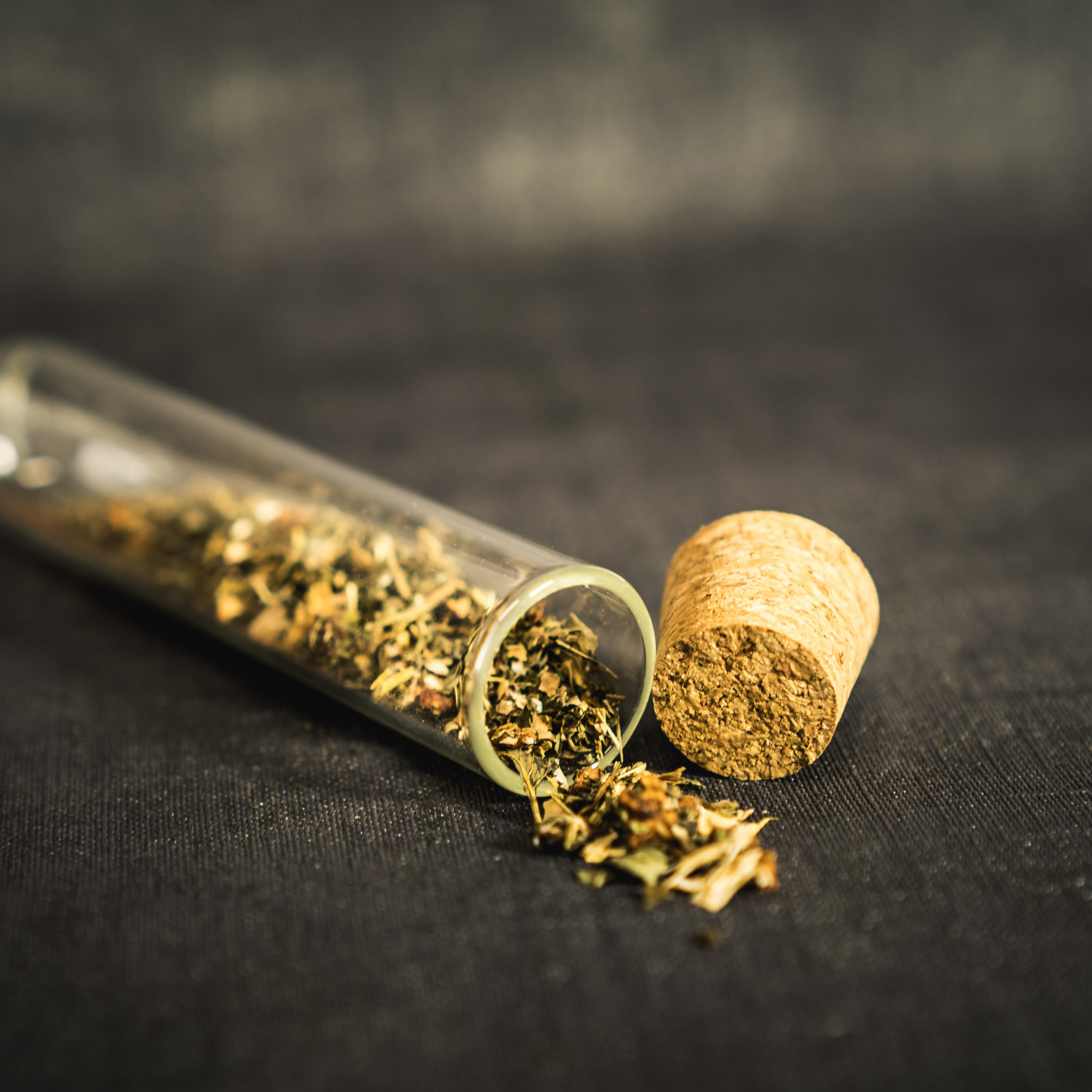 Luxe theefilter (gevuld) in cadeauverpakking per 6 stuks