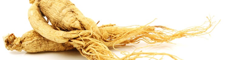 ginseng