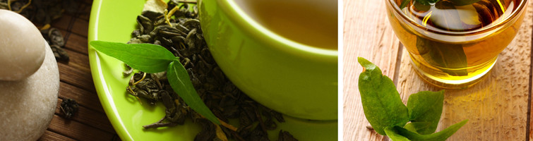 Kracht van groene thee