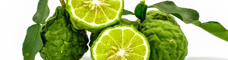 Bergamot