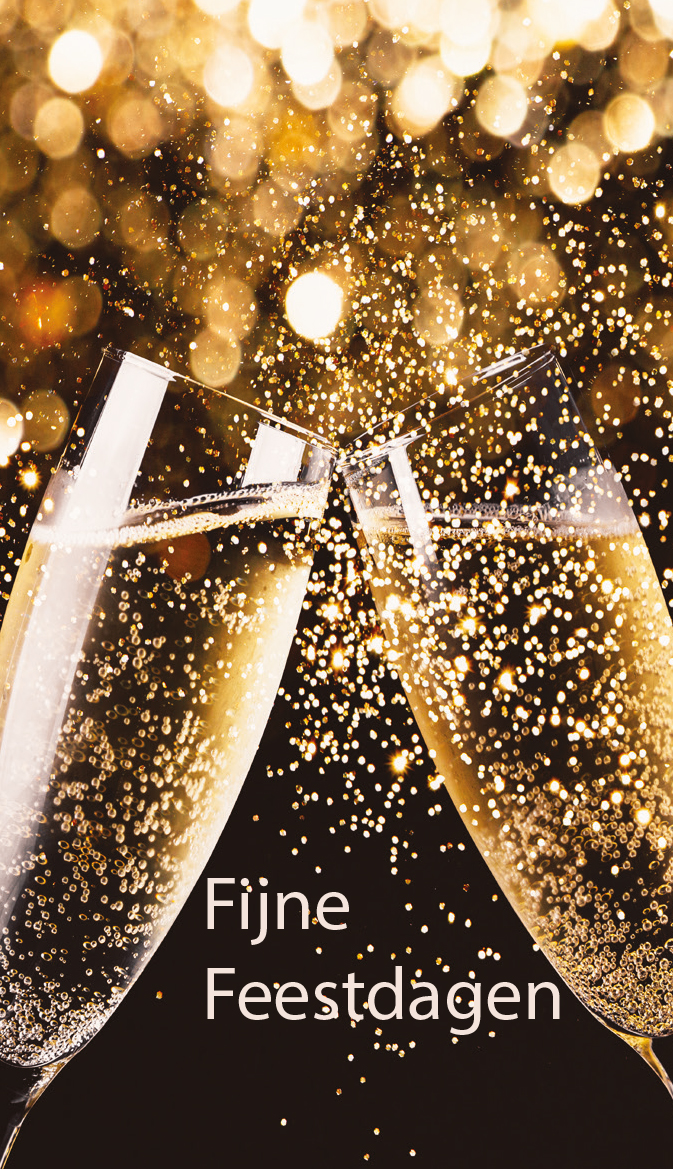 fijne feestdagen_703